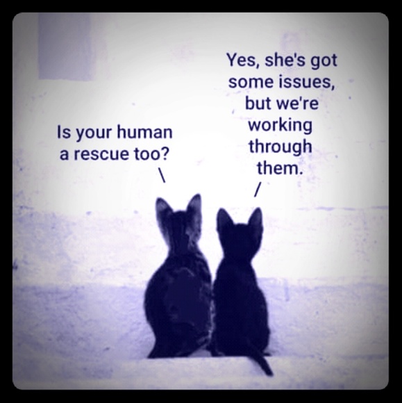 CLOSED CLOSET - Picture 1 of 1